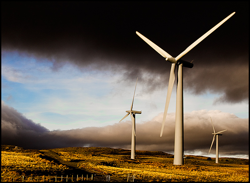 Windmills-2.jpg