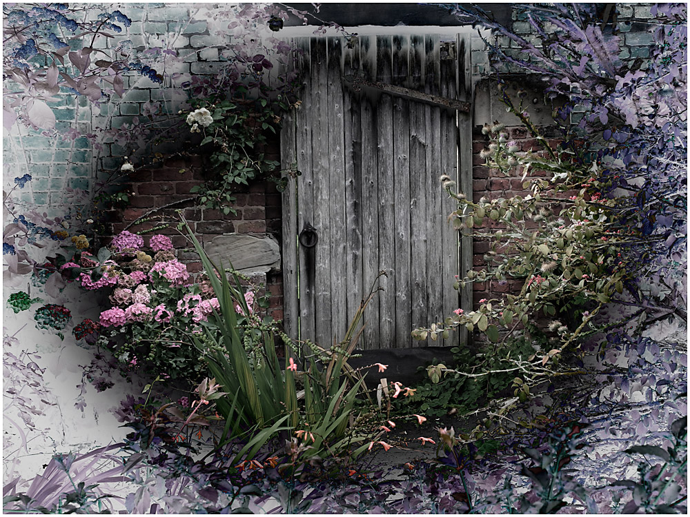 105 Doorway to the Magic Garden.jpg