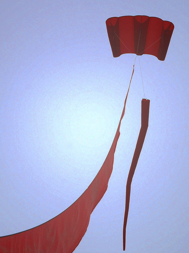 red kite.jpg