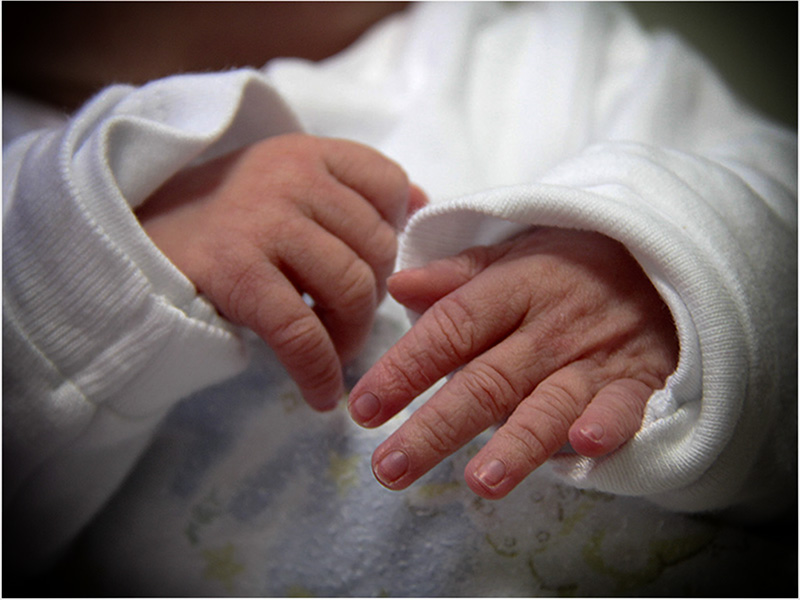 THE LITTLE HANDS OF MOLLIE - 1 DAY OLD.jpg