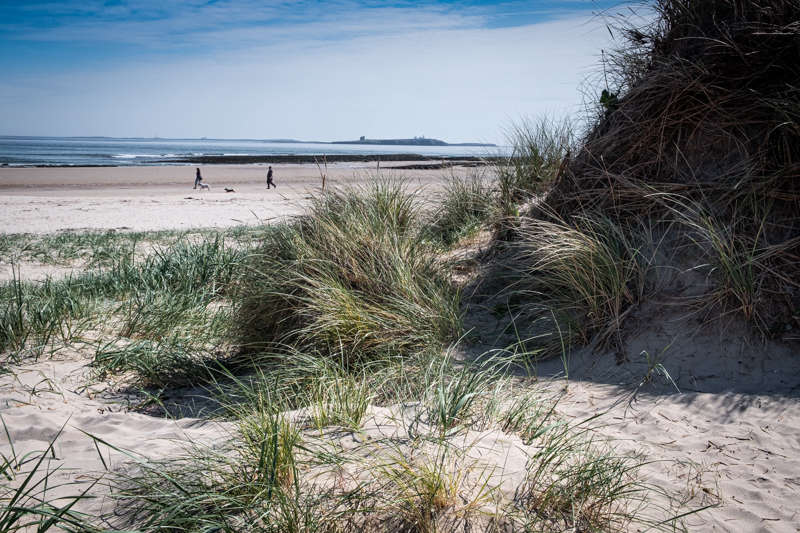 bamburgh dunes to Farne.jpg
