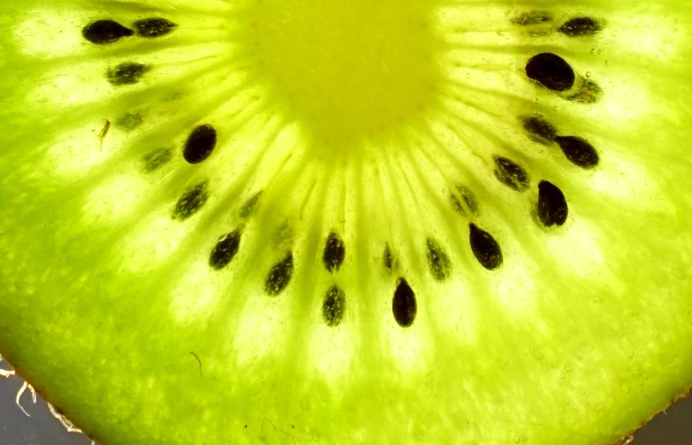 Kiwi Fruit.jpg