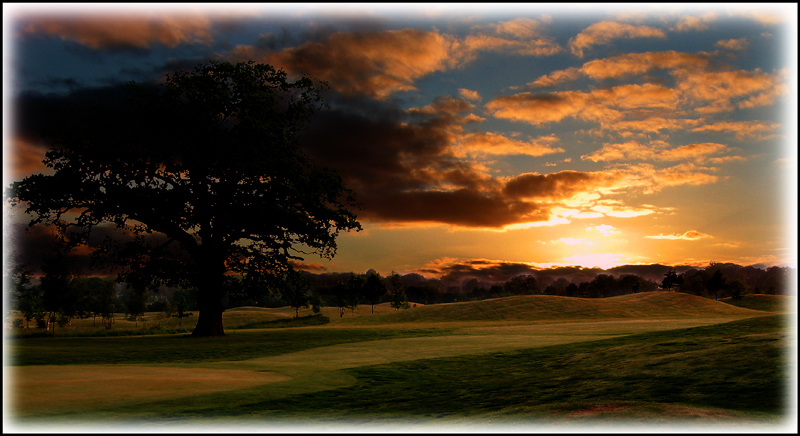 Sunset-on-the-Green.jpg